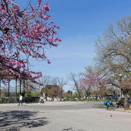The Consulate * Corfu (city)